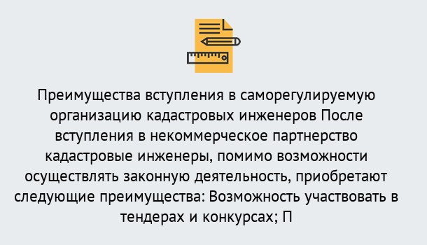 Почему нужно обратиться к нам? Королёв Что дает допуск СРО кадастровых инженеров?