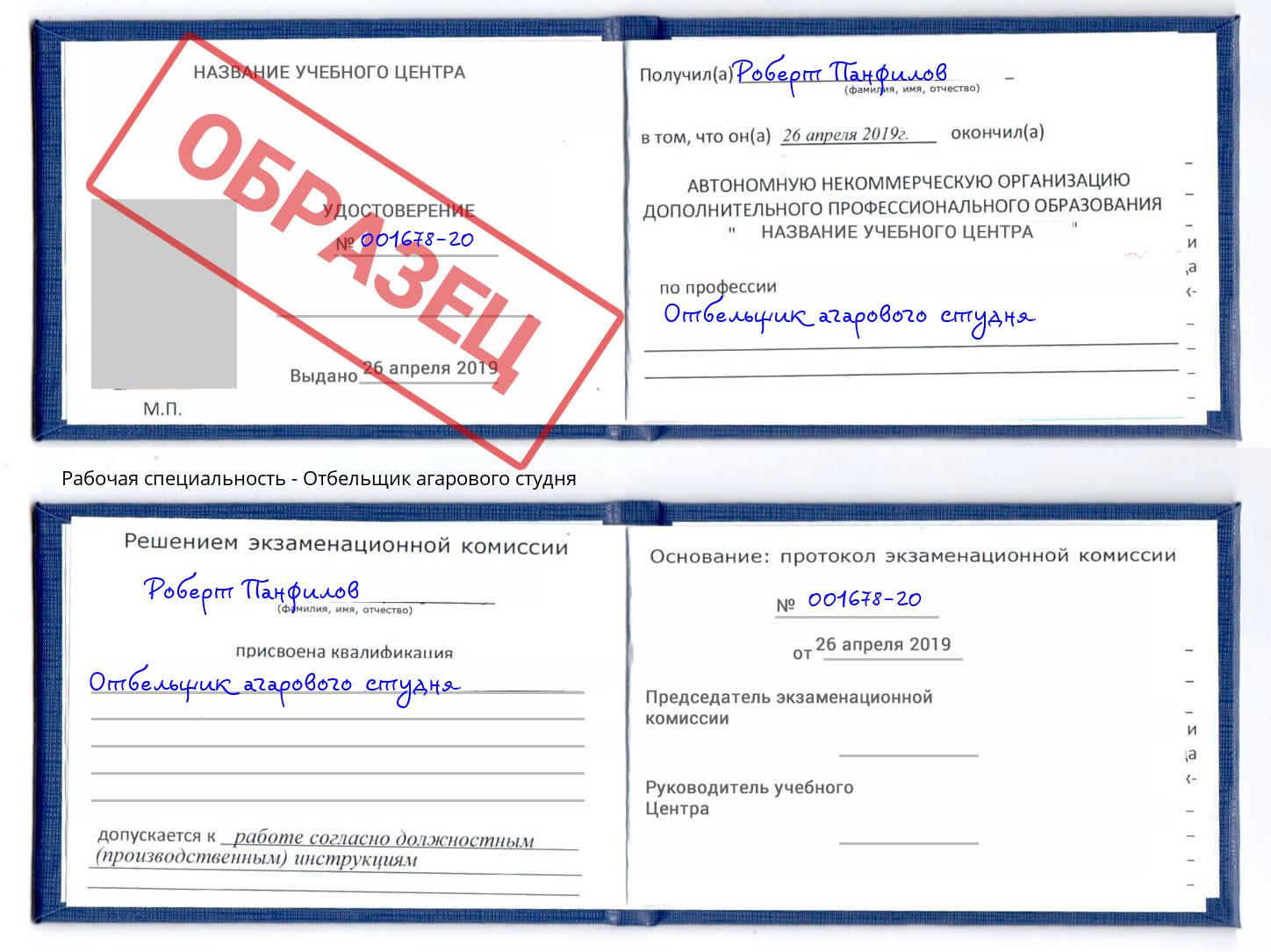Отбельщик агарового студня Королёв