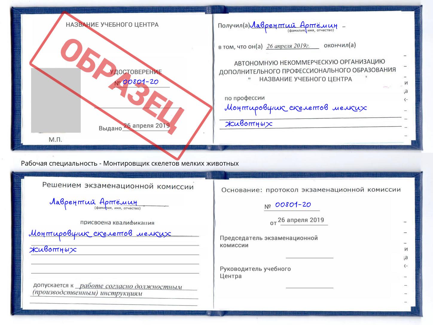 Монтировщик скелетов мелких животных Королёв