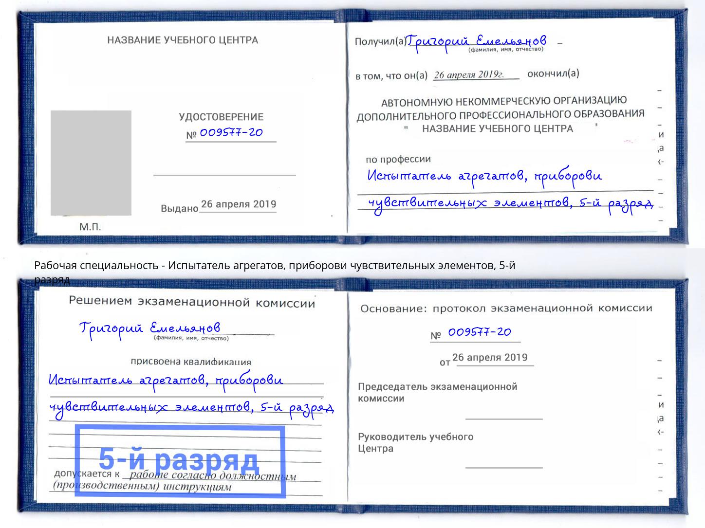 корочка 5-й разряд Испытатель агрегатов, приборови чувствительных элементов Королёв