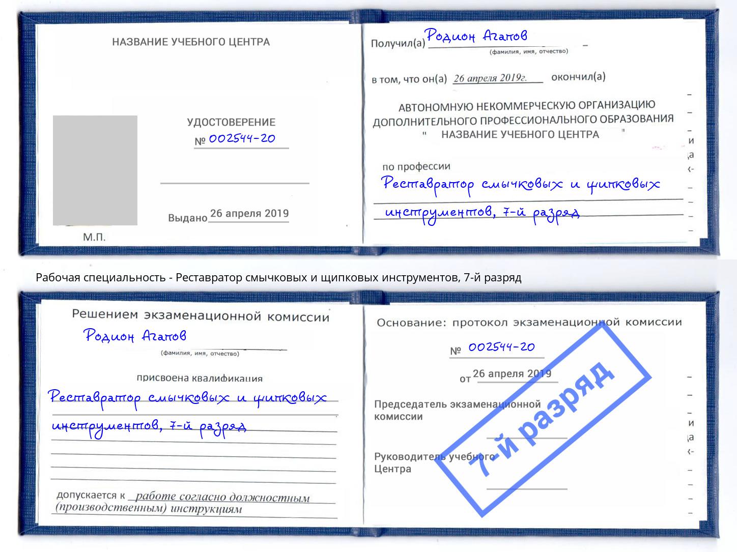 корочка 7-й разряд Реставратор смычковых и щипковых инструментов Королёв