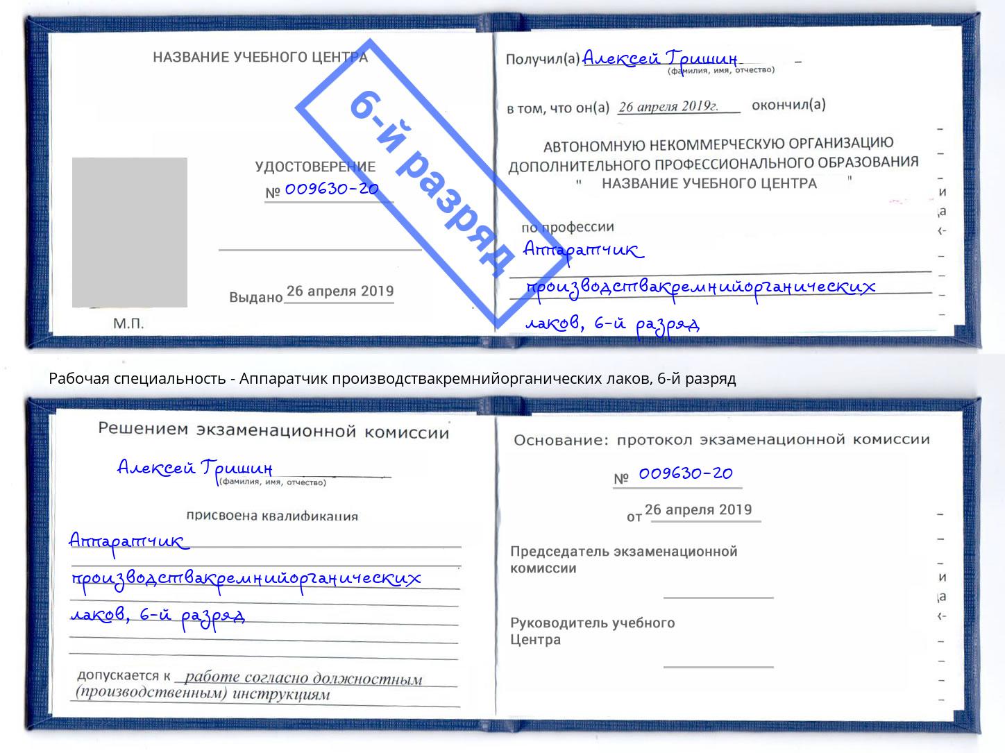 корочка 6-й разряд Аппаратчик производствакремнийорганических лаков Королёв