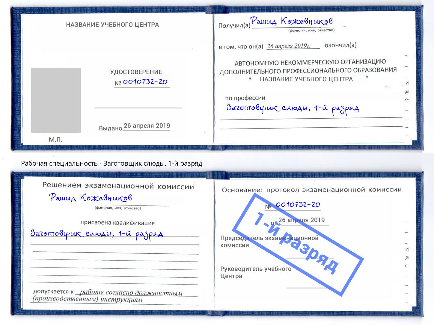 корочка 1-й разряд Заготовщик слюды Королёв